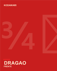 Rashguard Dragão frente